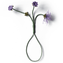 Boutonniere einer feingeh�kelten lila Edeldistel in der...