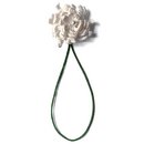 Wei�e K�nigin der Nacht mit einzelner Perle