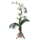 Boutonniere eines geh�kelten wei�en Maigl�ckchens mit...