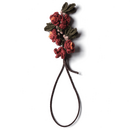 Rote Pfirsichbl�te F�nfling