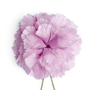 Boutonniere einer rosa Nelke aus Seide in Detailansicht.