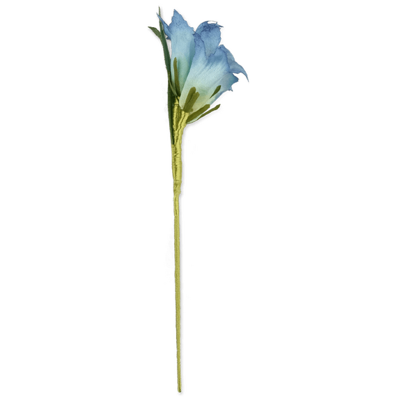 Boutonniere eines blauen Enzians mit drei Blten in der Seitenansicht