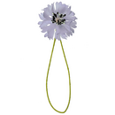 Boutonniere einer hellblauen Kornblume in der Direktansicht