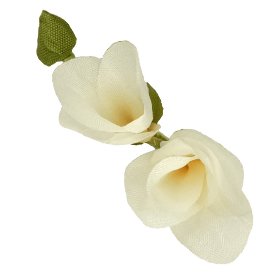 Boutonniere einer weien Fresie in der Draufsicht