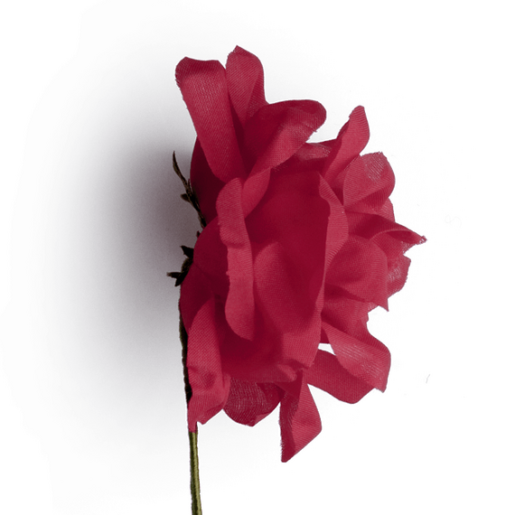 Boutonniere bzw. Knopflochblume einer roten Rose in der Seitenansicht.
