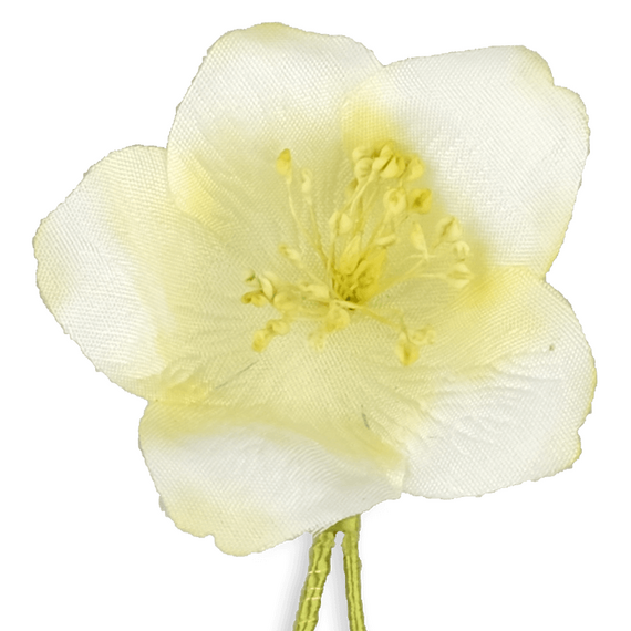 Boutonniere bzw. Knopflochblume einer Christrose in Wei und Lind in der detaillierten Direktansicht.