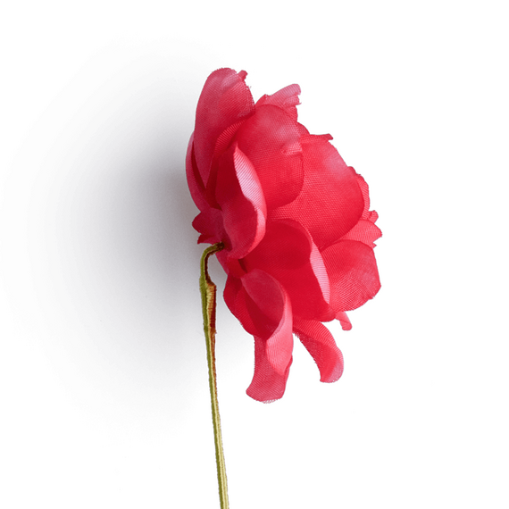 Boutonniere bzw. Knopflochblume einer rosa Kamelie in der detaillierten Seitenansicht.