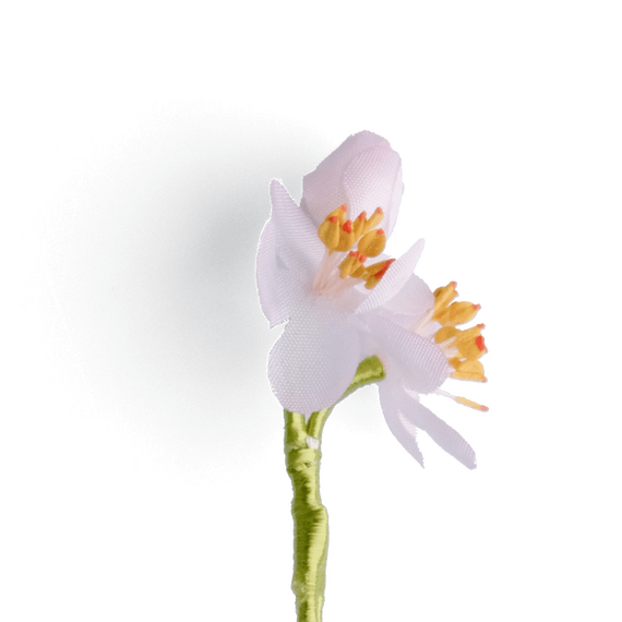 Boutonniere bzw. Knopflochblume eines rosa Kirschbltenb-Drillings  in der detaillierten Seitenansicht.