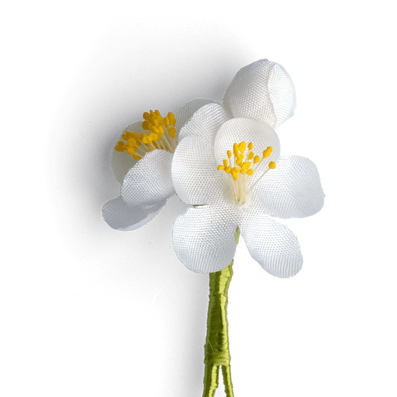 Boutonniere bzw. Knopflochblume eines weien Kirschblten-Drillings  in der Detailansicht.