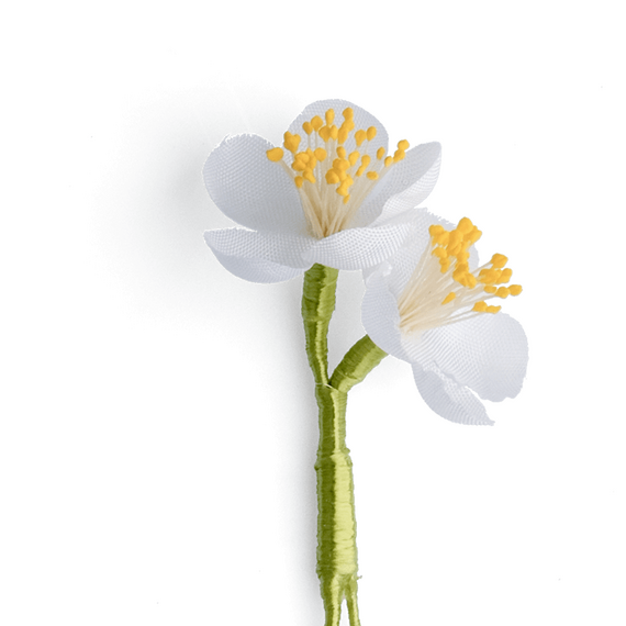 Boutonniere bzw. Knopflochblume eines weien Kirschblten-Zwillings  in der Detailansicht.