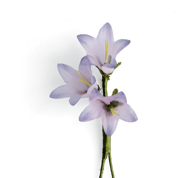 Boutonniere bzw. Knopflochblume einer rundblttrigen Glockenblume in der Detailansicht.