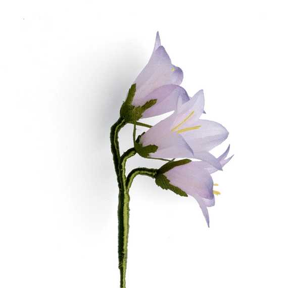 Boutonniere bzw. Knopflochblume einer rundblttrigen Glockenblume in der Seitenansicht.