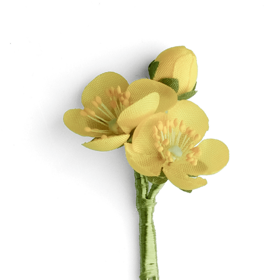 Boutonniere bzw. Knopflochblume einer Butterblume als Drilling in der Detailansicht.