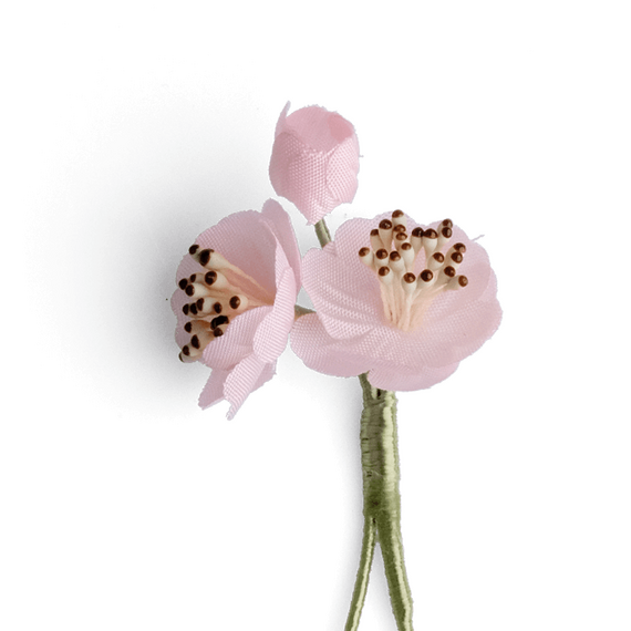 Boutonniere bzw. Knopflochblume einer Mandelblte als Drilling in der Detailansicht.