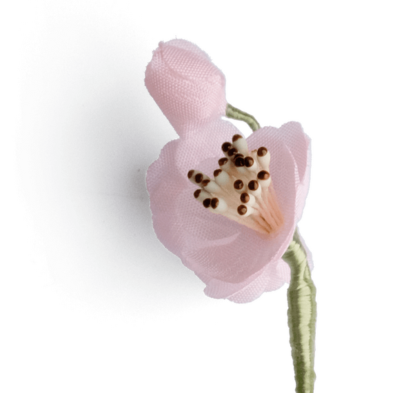Boutonniere bzw. Knopflochblume einer Mandelblte als Drilling in der Seitenansicht.