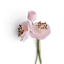 Boutonniere bzw. Knopflochblume einer Mandelblüte als...