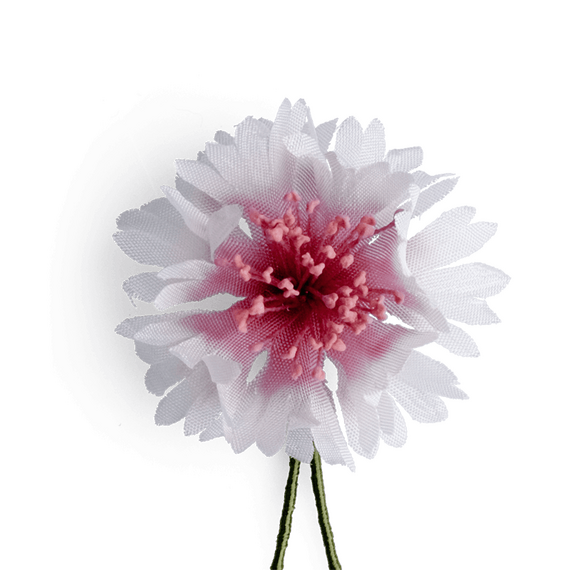 Boutonniere bzw. Knopflochblume einer Kornblume in Wei und Magenta in der Detailansicht.